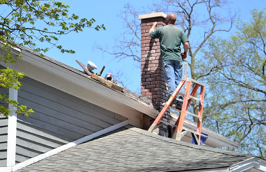 Chimney & Fireplace Inspections Services in Pelham, AL